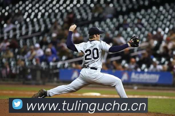 kaiyun中国平台生态图